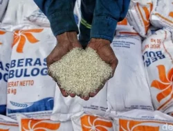 Sejarah! Stok Beras Nasional Mencapai 4 Juta Ton