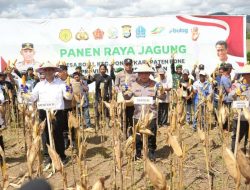 Hadiri Panen Raya Jagung di Bone, Kapolri dan Mentan Dukung Ketahanan Pangan Nasional