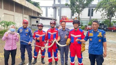 Damkarmat Makassar Evakuasi Ular di Hotel Swiss-Bel Panakkukang dalam Tujuh Menit